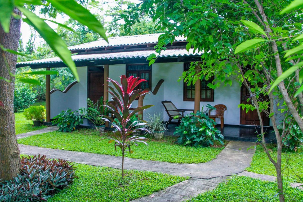 Nimsara Lodge Sigiriya Exterior foto