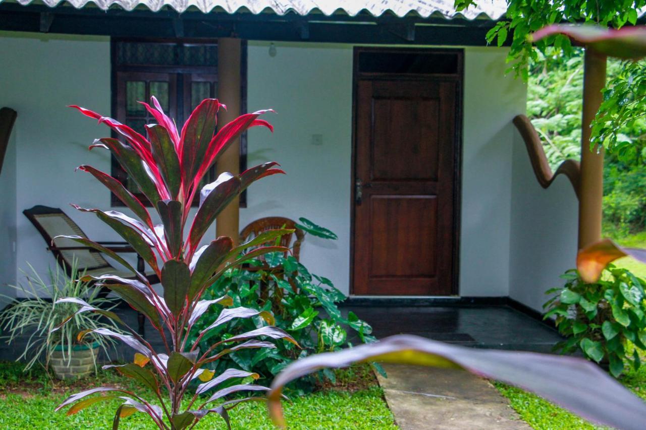 Nimsara Lodge Sigiriya Exterior foto