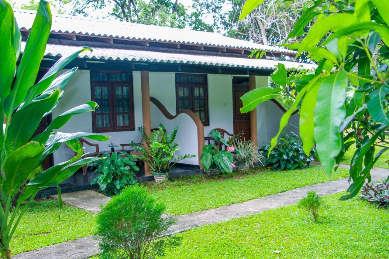 Nimsara Lodge Sigiriya Exterior foto