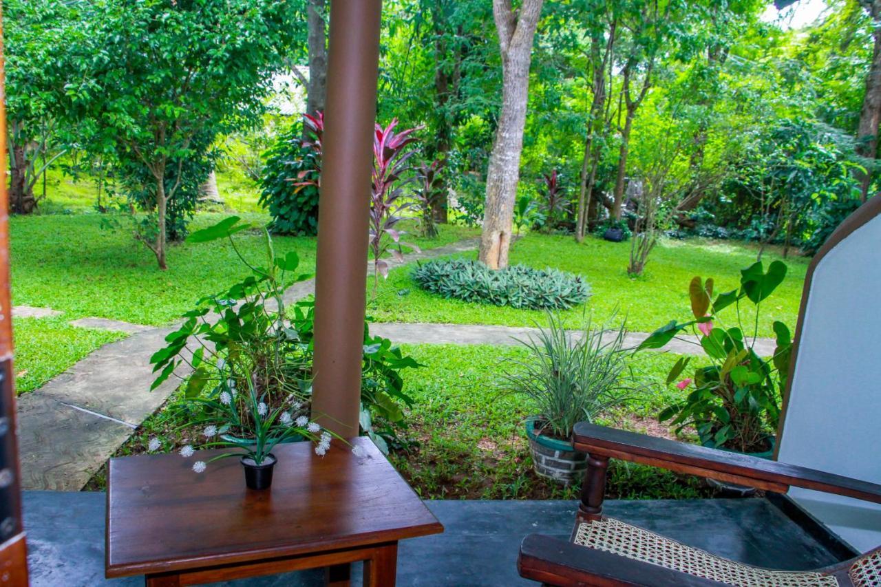 Nimsara Lodge Sigiriya Exterior foto