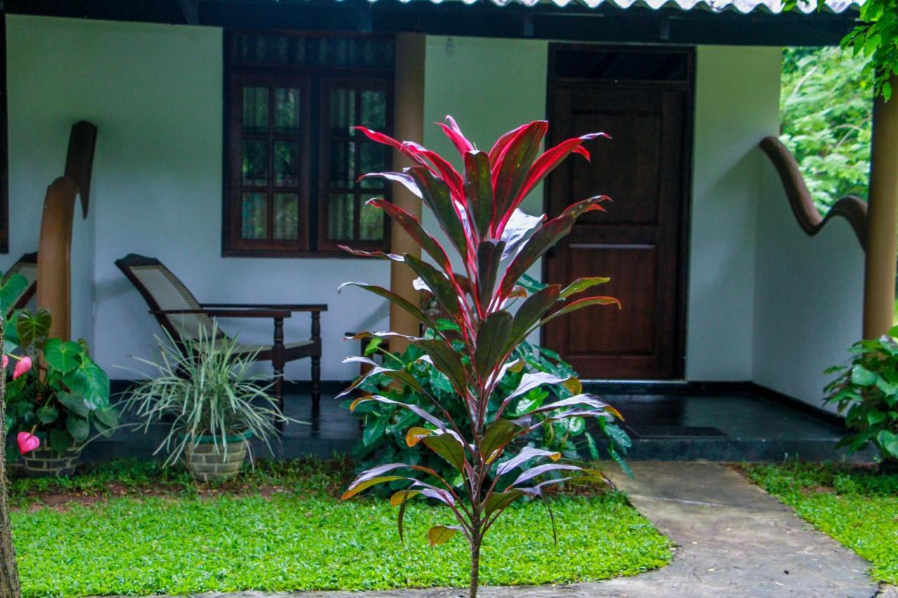 Nimsara Lodge Sigiriya Exterior foto