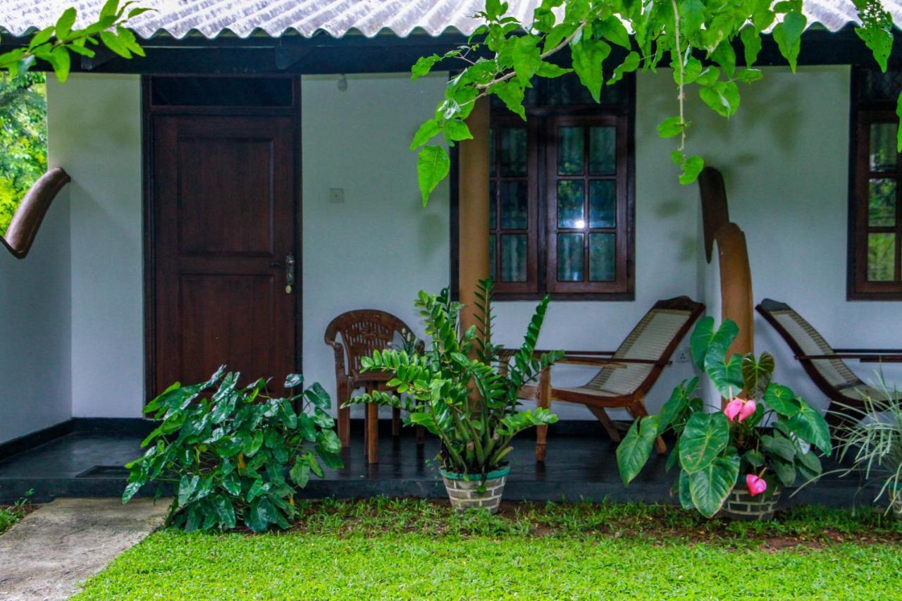 Nimsara Lodge Sigiriya Exterior foto