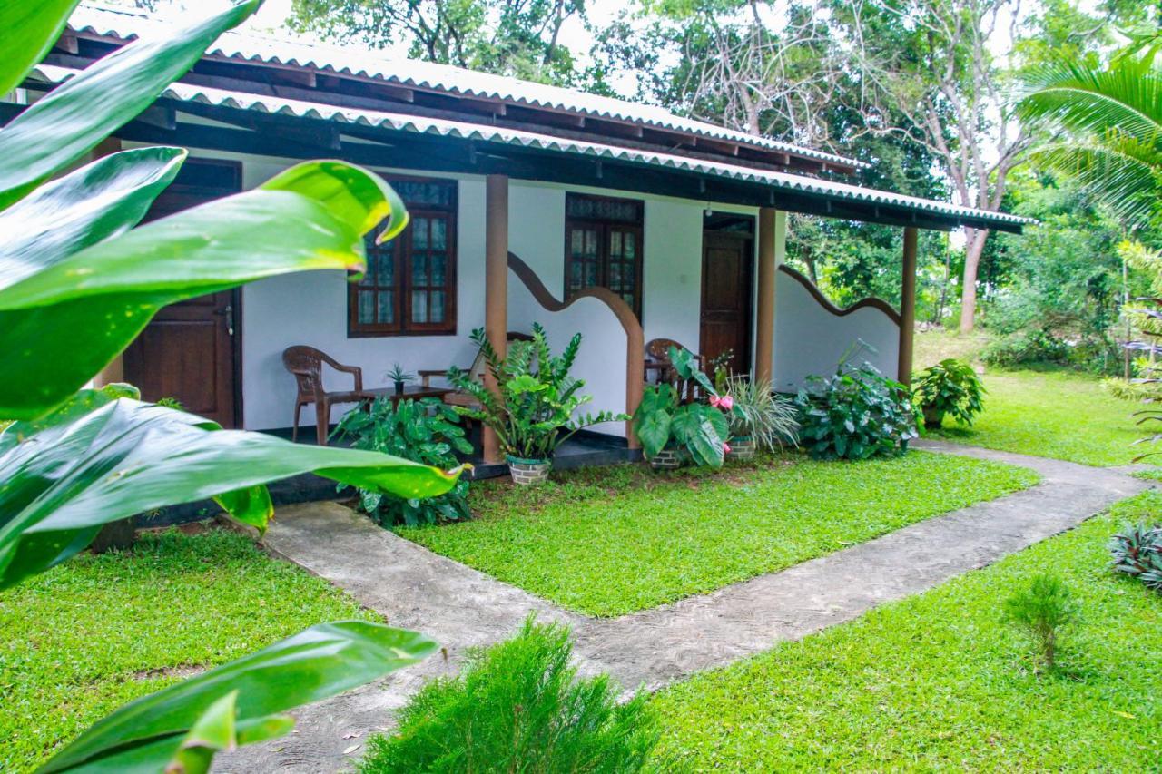Nimsara Lodge Sigiriya Exterior foto