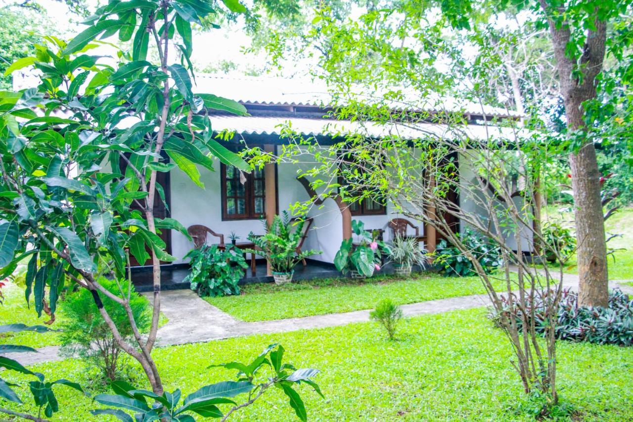 Nimsara Lodge Sigiriya Exterior foto