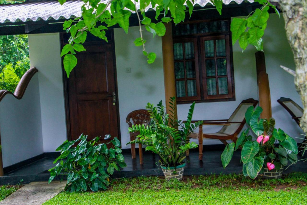 Nimsara Lodge Sigiriya Exterior foto